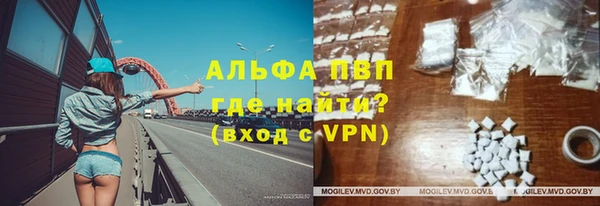 спиды Медвежьегорск