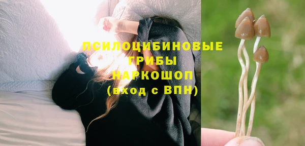 альфа пвп Медногорск