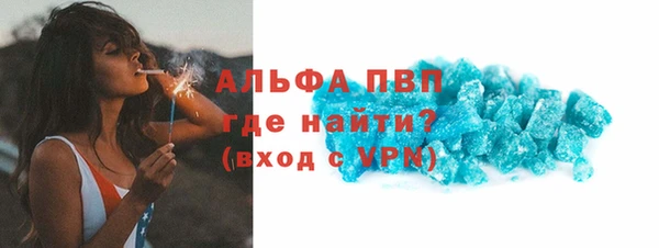 гидра Майский