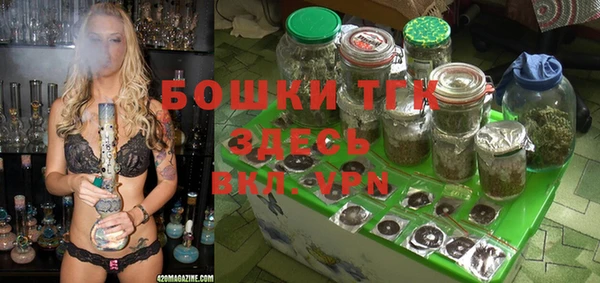 гидра Майский