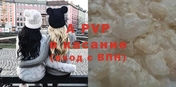 гидра Майский