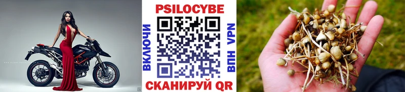 Псилоцибиновые грибы ЛСД  Купить где  Менделеевск 